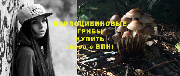 спиды Алзамай