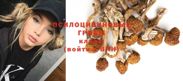 круглые Алексин