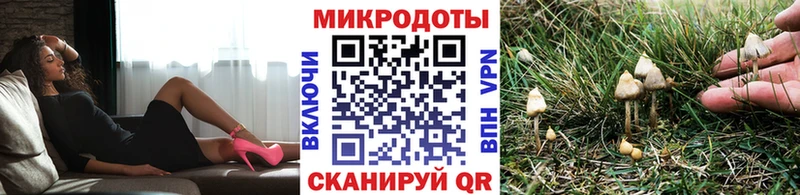 закладка  omg ссылки  Псилоцибиновые грибы GOLDEN TEACHER  Завитинск 